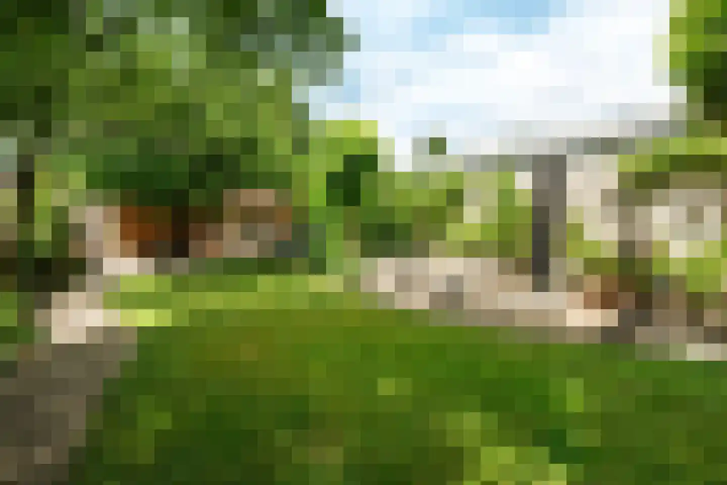 Gramserweg 15 Austerlitz thumbnail 25