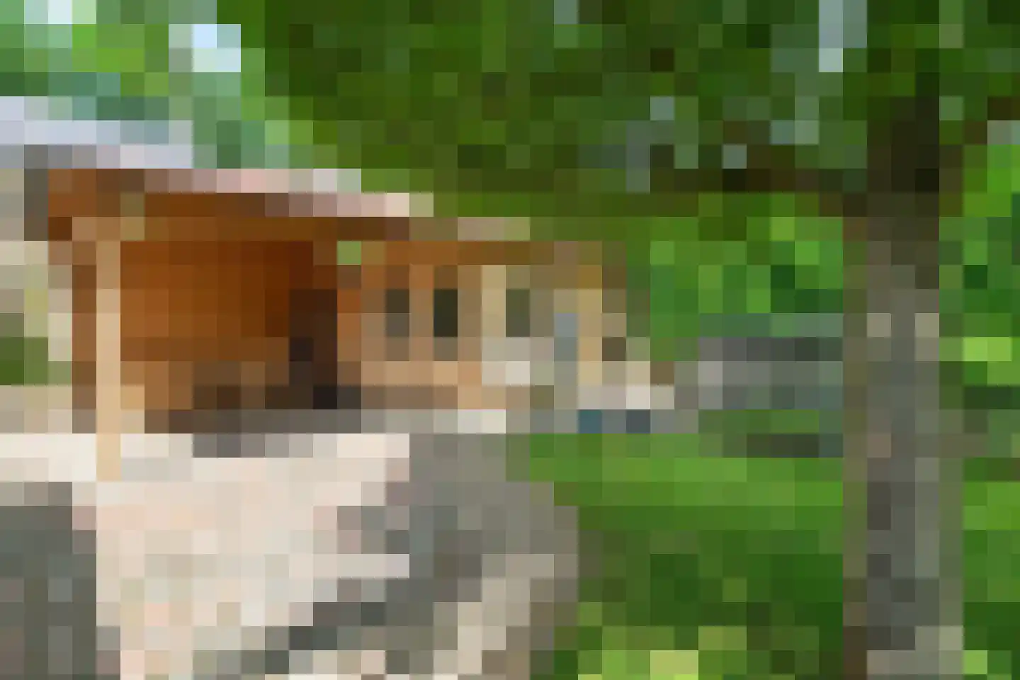 Gramserweg 15 Austerlitz thumbnail 26