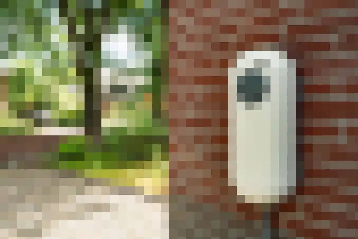 Gramserweg 15 Austerlitz thumbnail 30