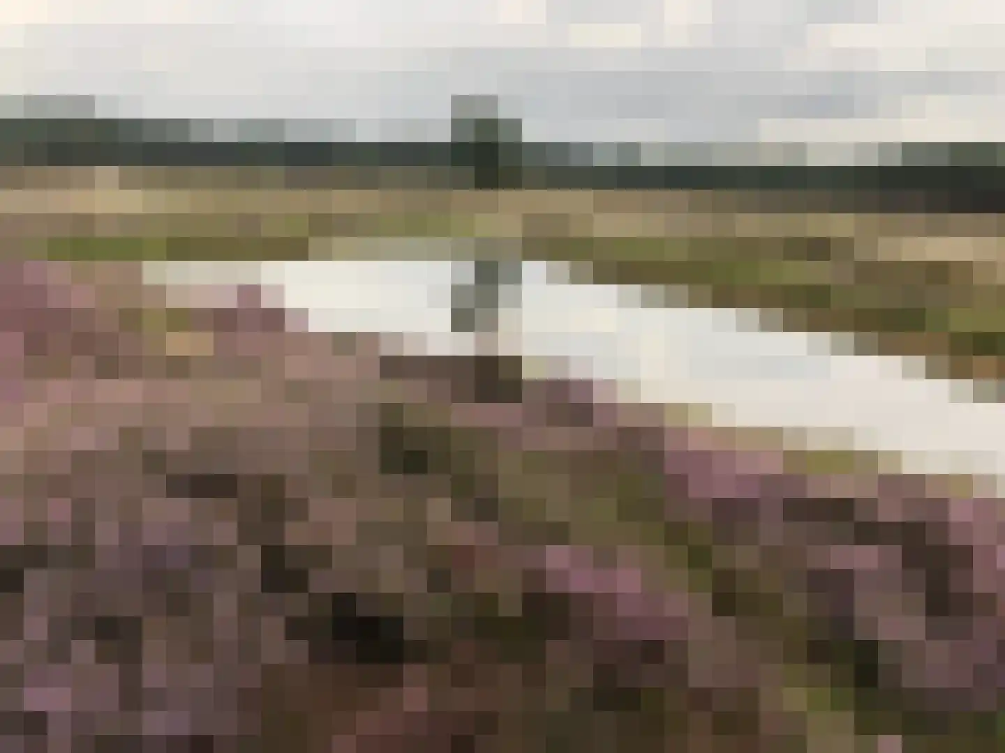 Gramserweg 15 Austerlitz thumbnail 34