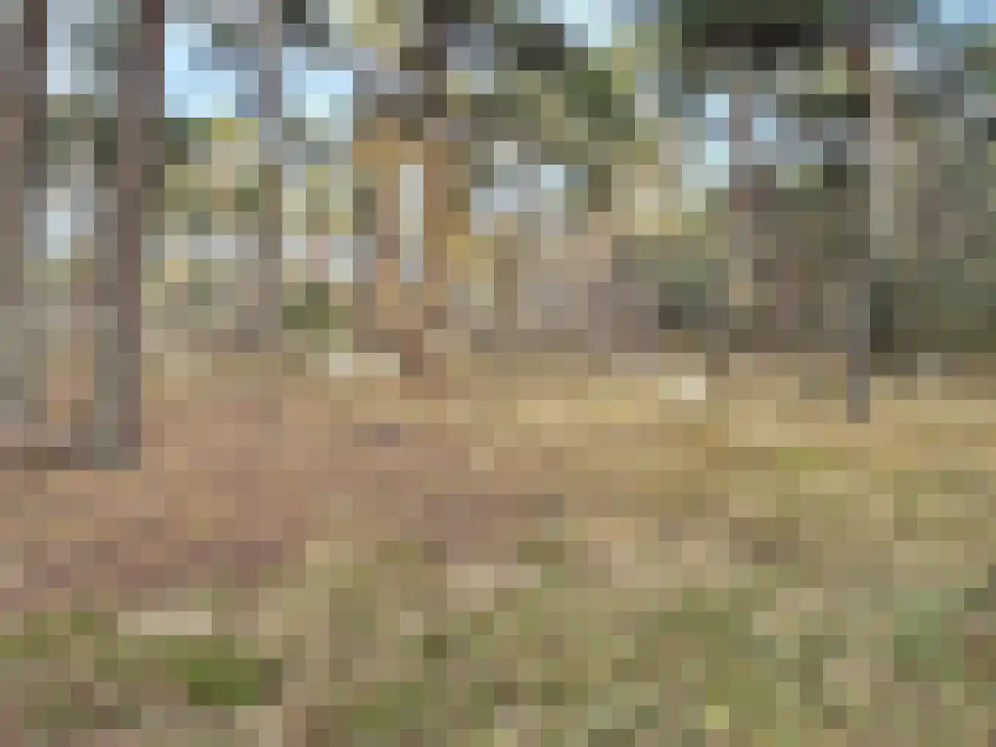 Gramserweg 15 Austerlitz thumbnail 35