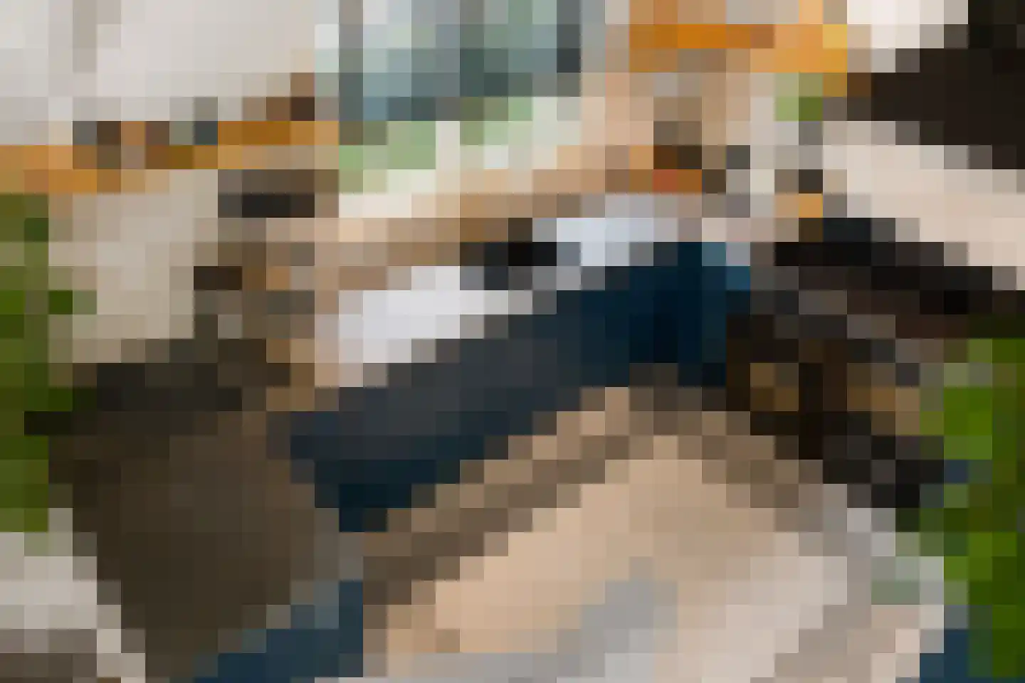 Gramserweg 47 E Austerlitz thumbnail 12