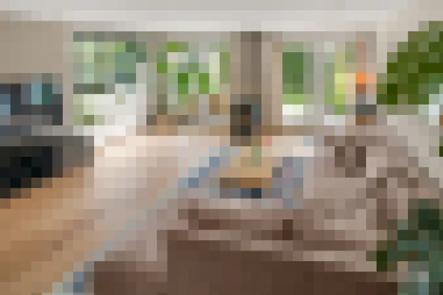Gramserweg 47 E Austerlitz thumbnail 17
