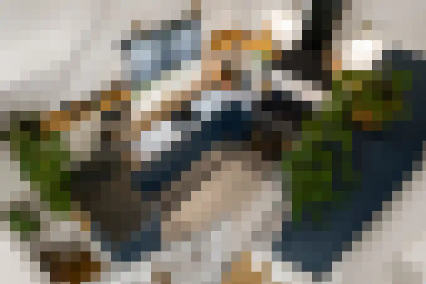 Gramserweg 47 E Austerlitz thumbnail 20