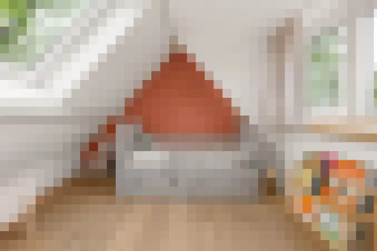 Gramserweg 47 E Austerlitz thumbnail 31