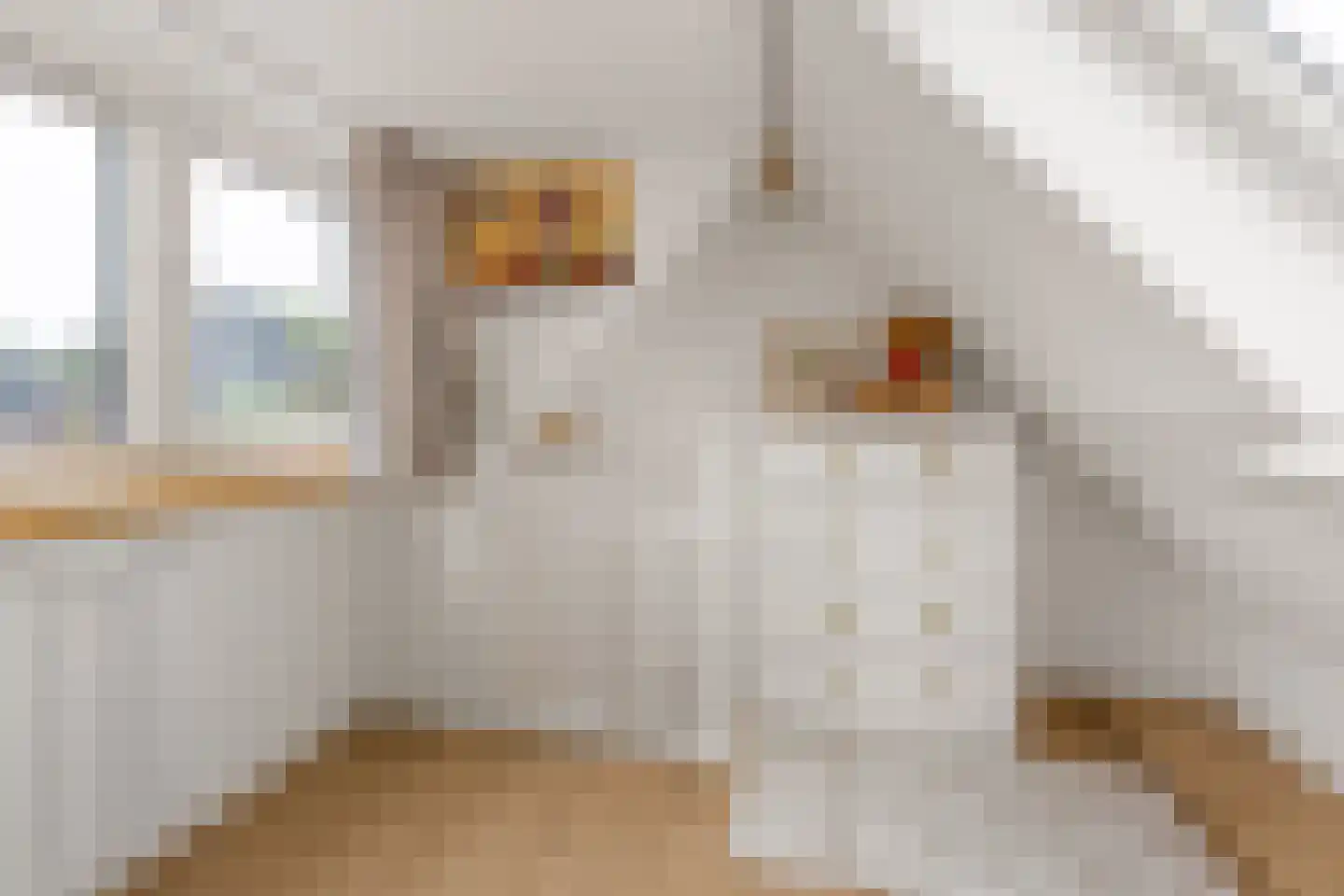 Gramserweg 47 E Austerlitz thumbnail 32