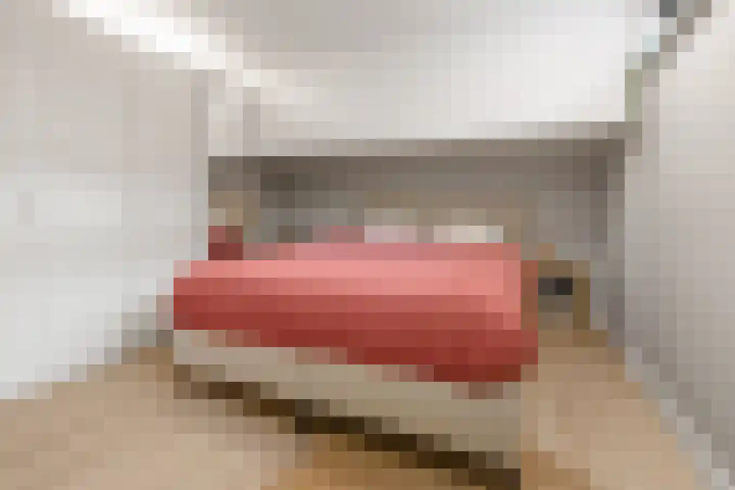 Gramserweg 47 E Austerlitz thumbnail 33