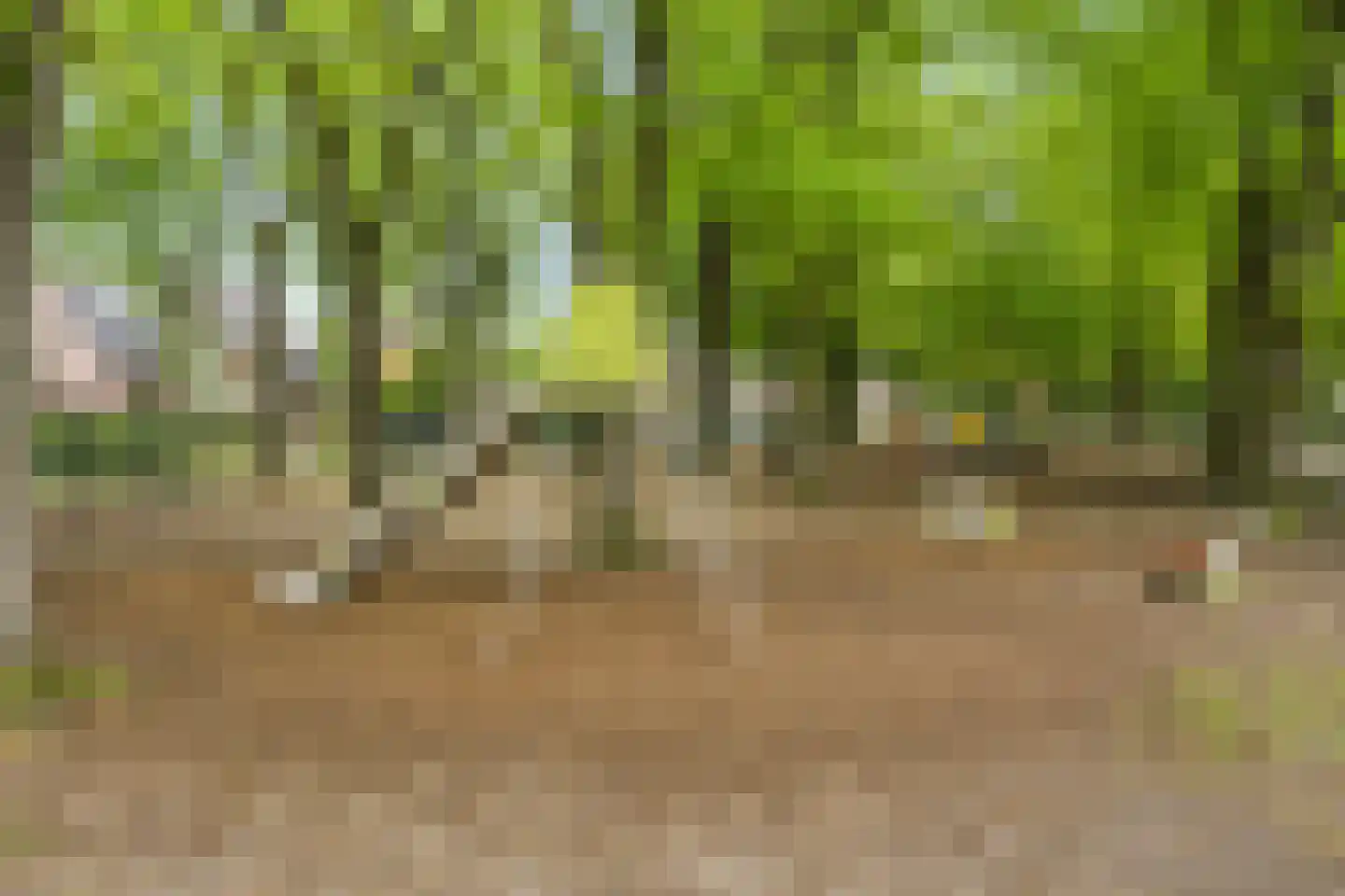 Gramserweg 47 E Austerlitz thumbnail 40