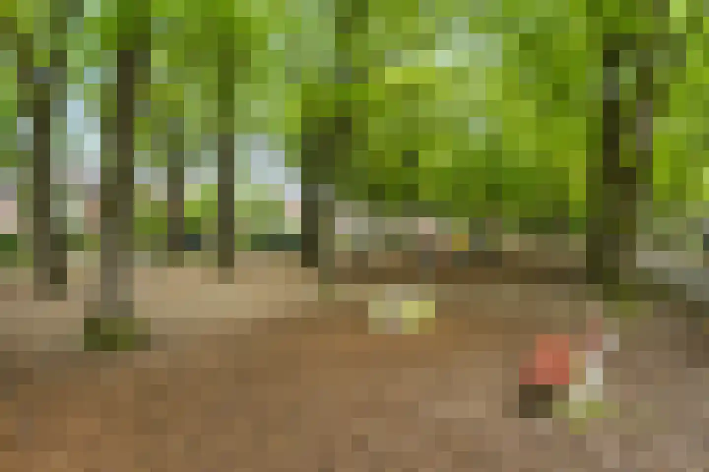 Gramserweg 47 E Austerlitz thumbnail 41