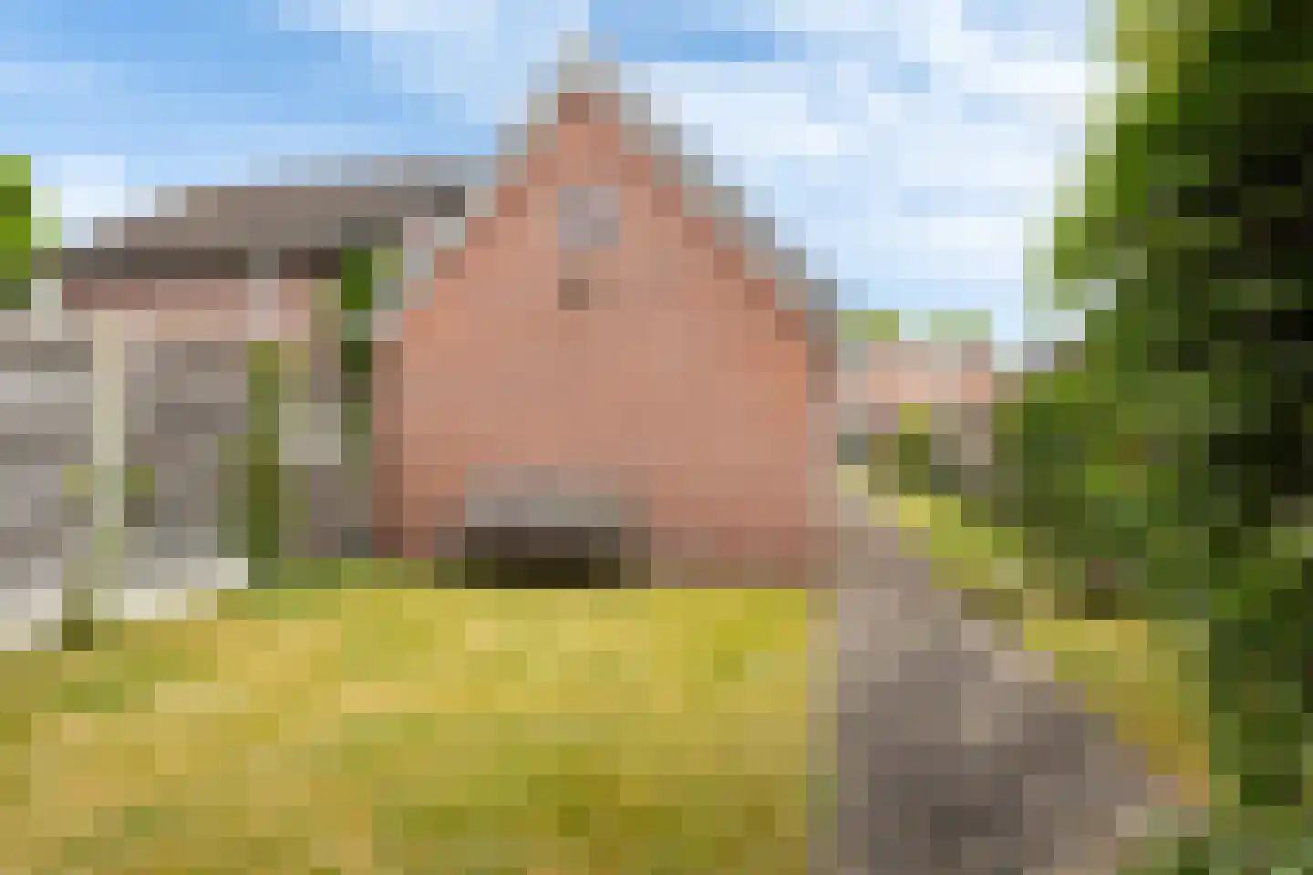Gramserweg 51 Austerlitz thumbnail 41