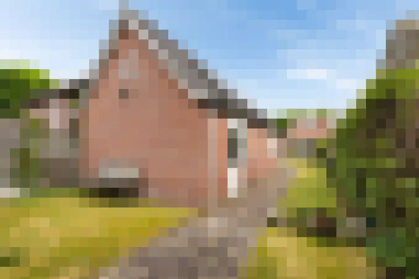 Gramserweg 51 Austerlitz thumbnail 42
