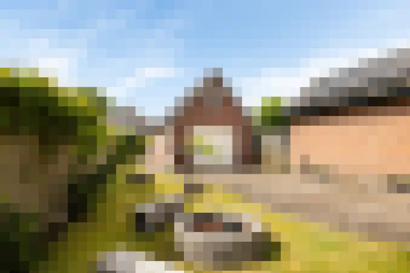 Gramserweg 51 Austerlitz thumbnail 5