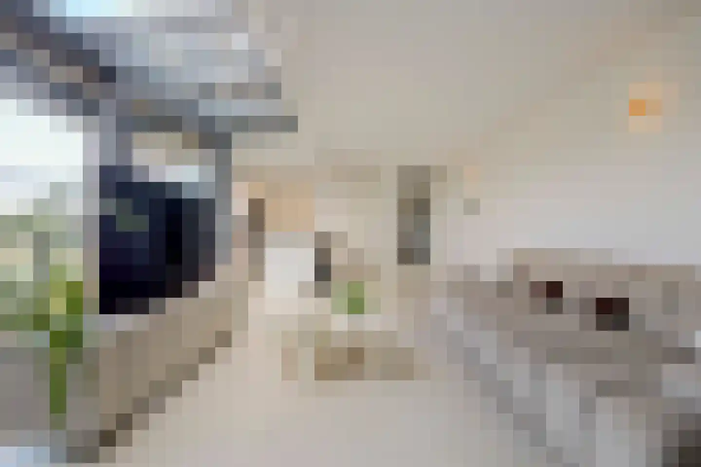 Gran Canariastraat 102 Almere thumbnail 20
