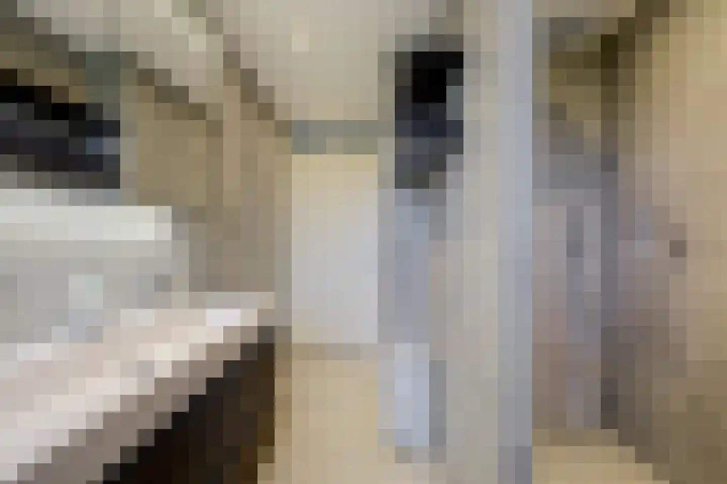 Gran Canariastraat 102 Almere thumbnail 5