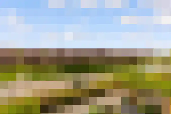 Gran Canariastraat 14 Almere thumbnail 20