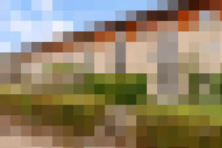Gran Canariastraat 14 Almere thumbnail 33