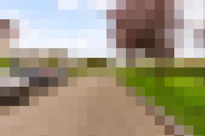Gran Canariastraat 14 Almere thumbnail 35