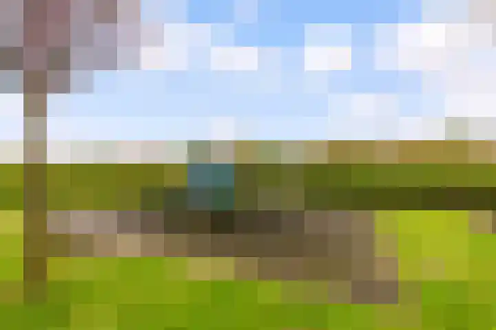 Gran Canariastraat 14 Almere thumbnail 36