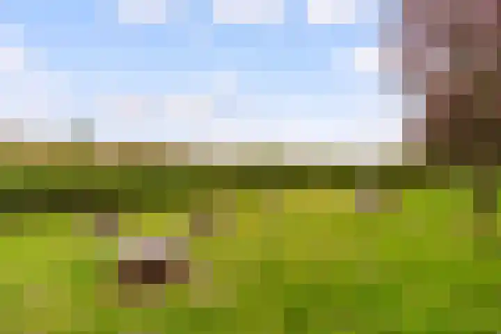 Gran Canariastraat 14 Almere thumbnail 37