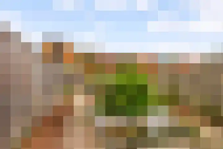 Gran Canariastraat 14 Almere thumbnail 9
