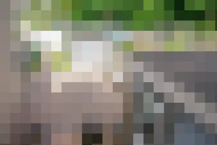 Granaat 56 Heerhugowaard thumbnail 13