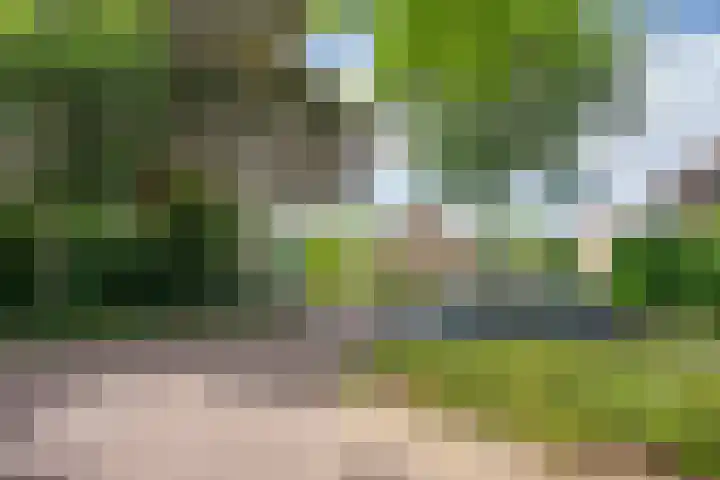 Granaat 56 Heerhugowaard thumbnail 30