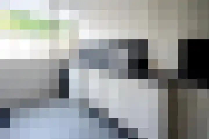 Granaat 56 Heerhugowaard thumbnail 6