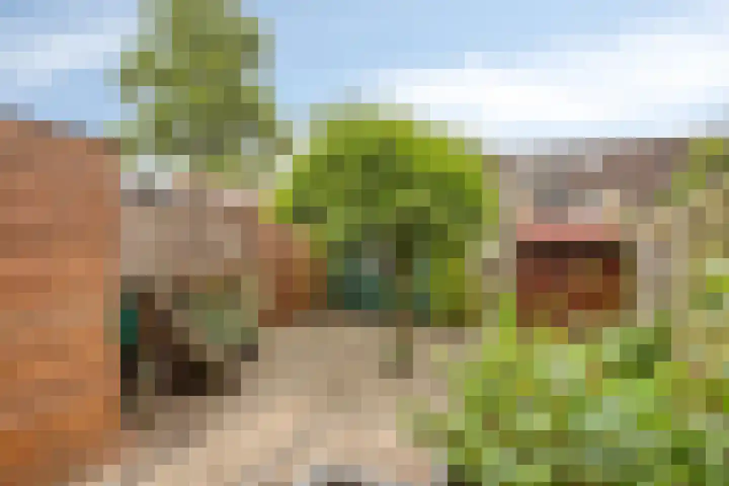Granaat 65 Heerhugowaard thumbnail 26