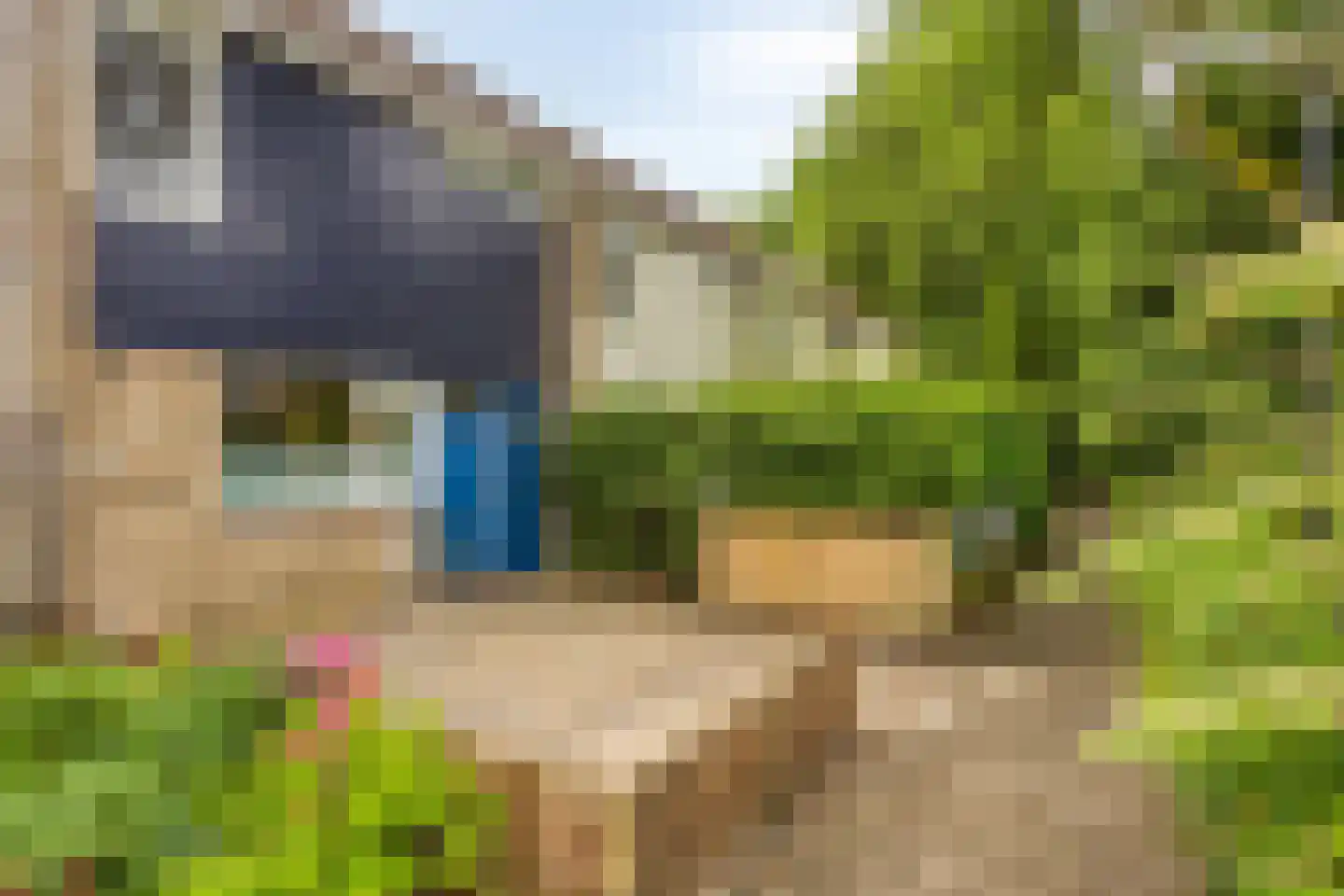 Granaat 65 Heerhugowaard thumbnail 36
