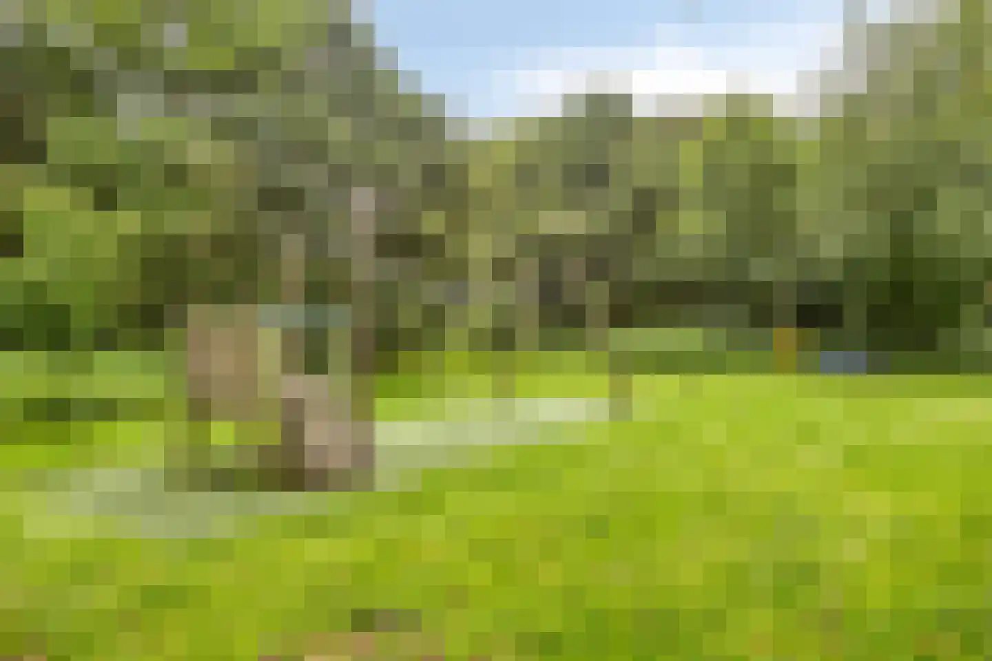 Granaat 65 Heerhugowaard thumbnail 39