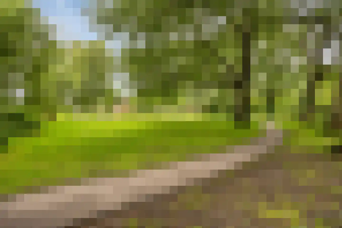 Granaat 65 Heerhugowaard thumbnail 40