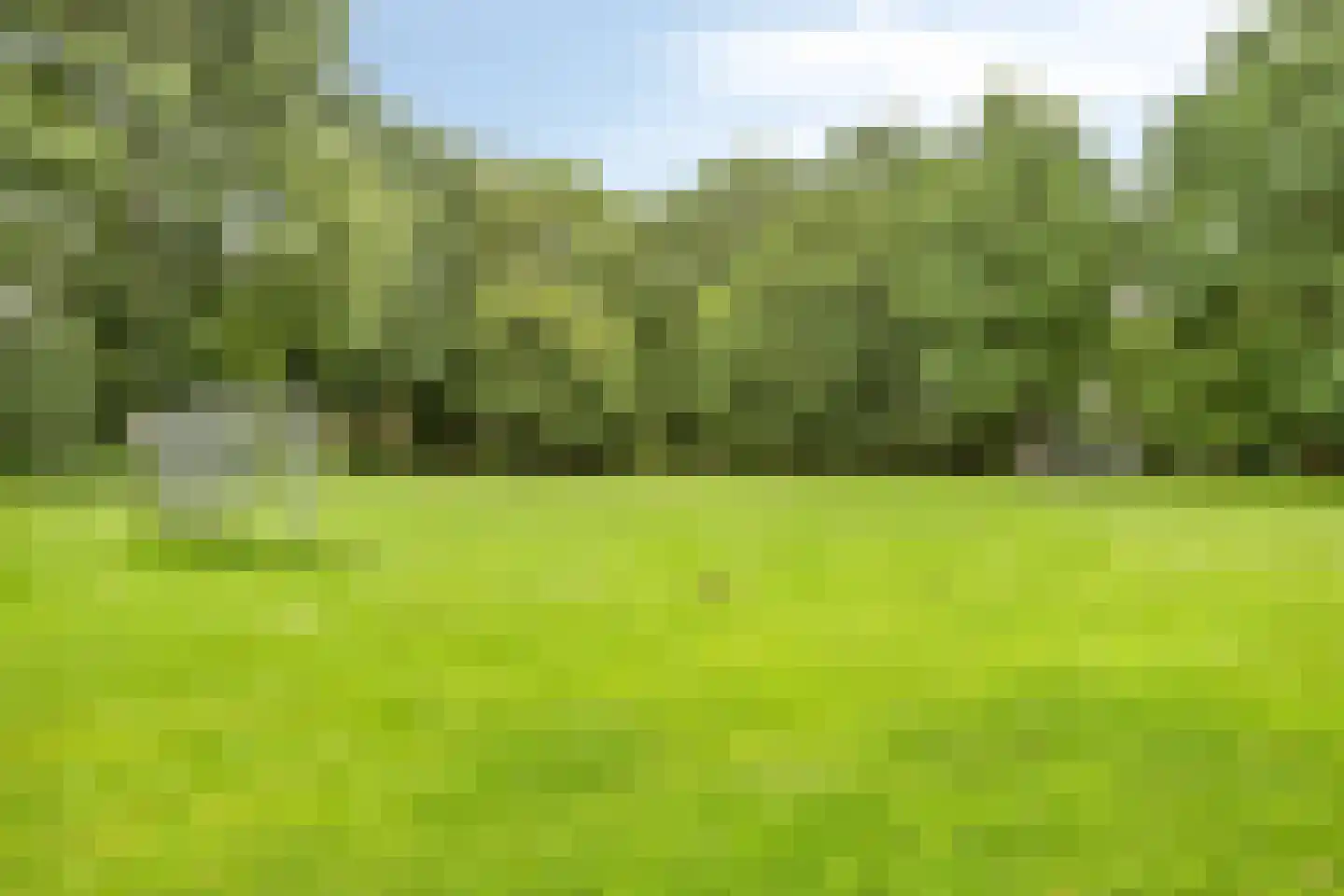 Granaat 65 Heerhugowaard thumbnail 41