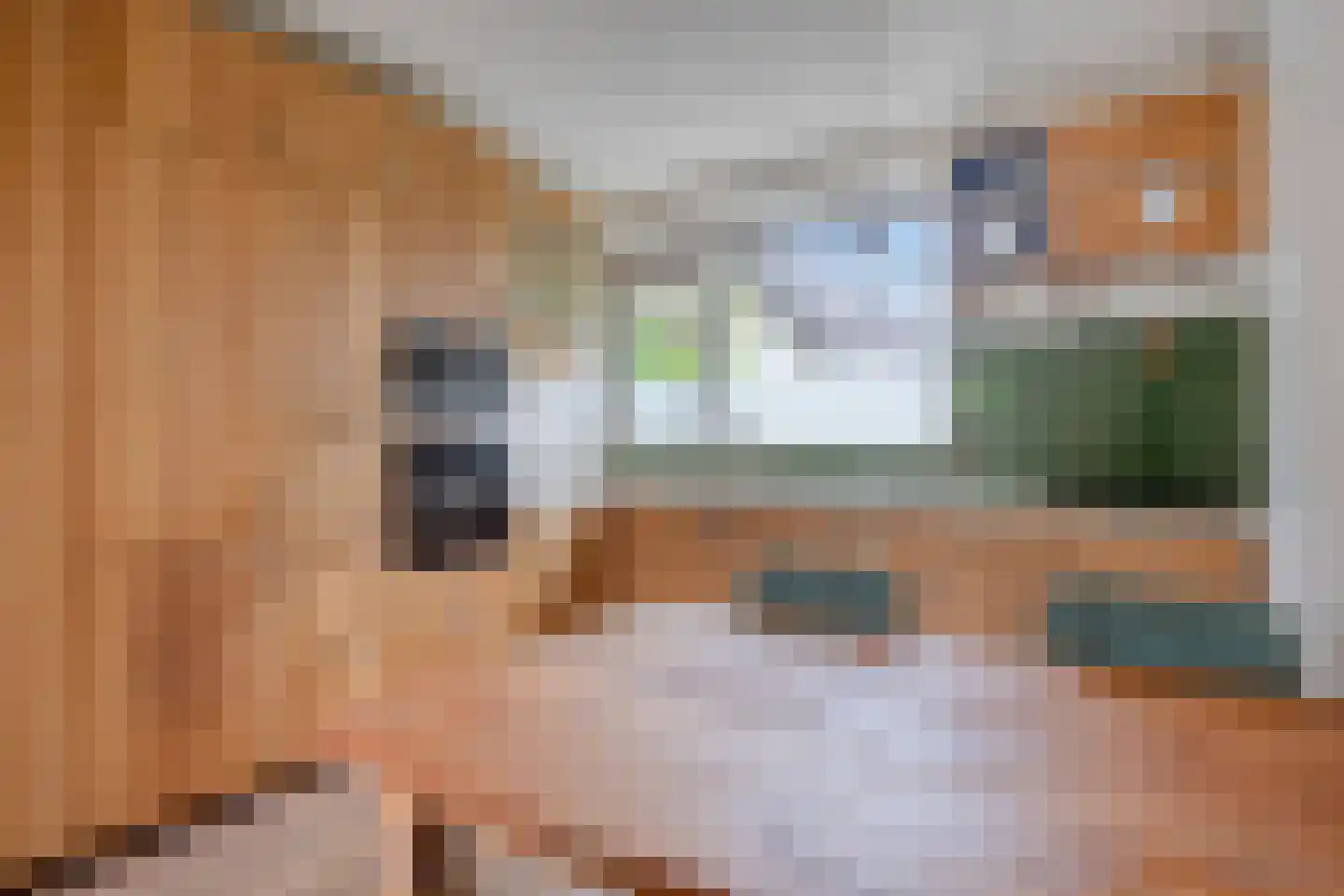 Granaat 65 Heerhugowaard thumbnail 8