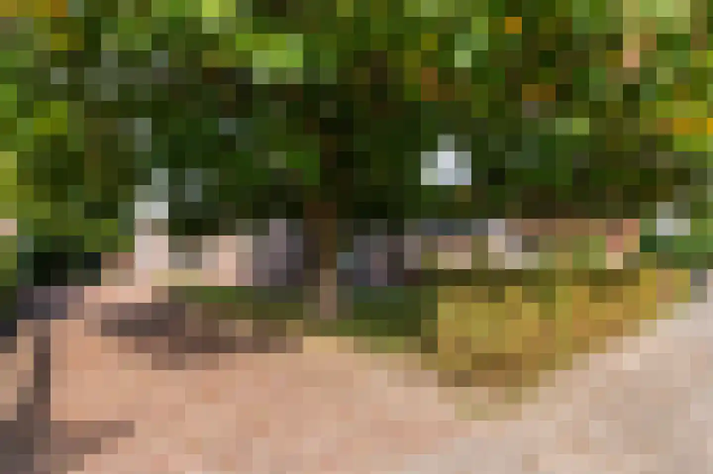 Granaat 7 in Zoetermeer