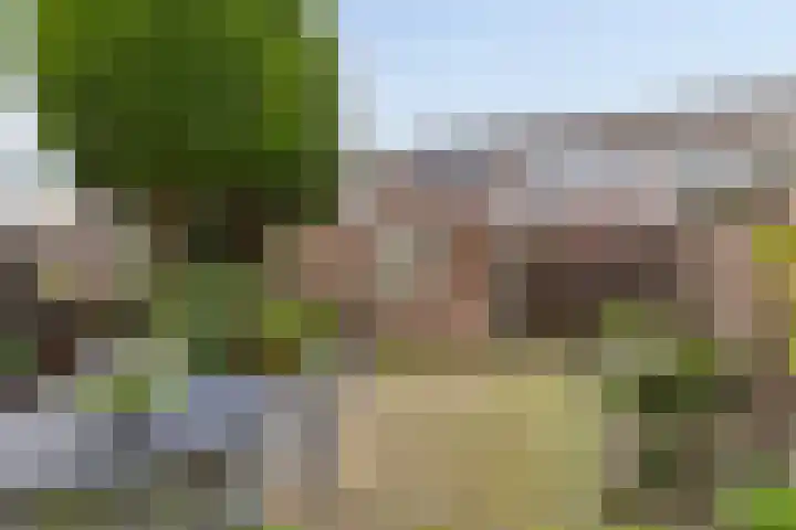 Granaat 7 Zoetermeer thumbnail 11