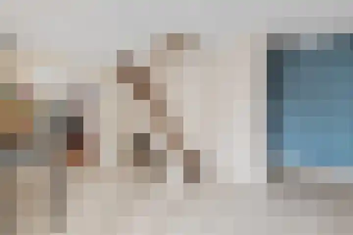 Granaat 9 Eindhoven thumbnail 10