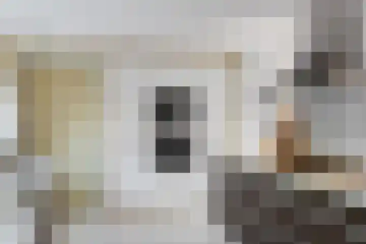 Granaat 9 Eindhoven thumbnail 23