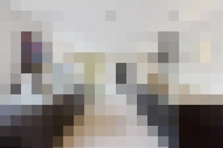 Granaat 9 Eindhoven thumbnail 25
