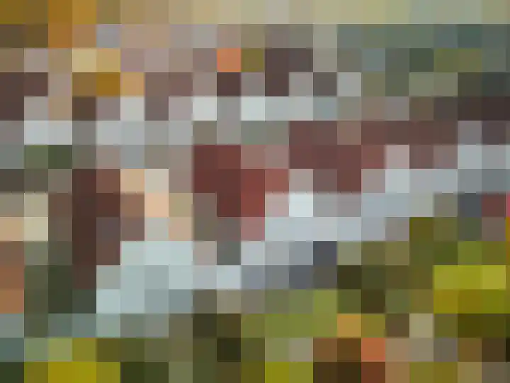 Granaat 9 Eindhoven thumbnail 33