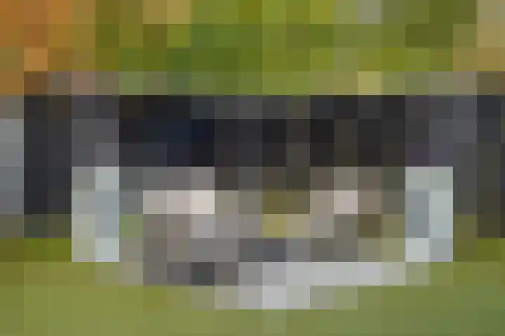 Granaat 9 Eindhoven thumbnail 40