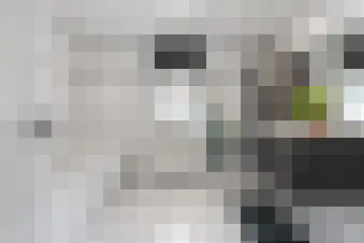Granaat 9 Eindhoven thumbnail 58