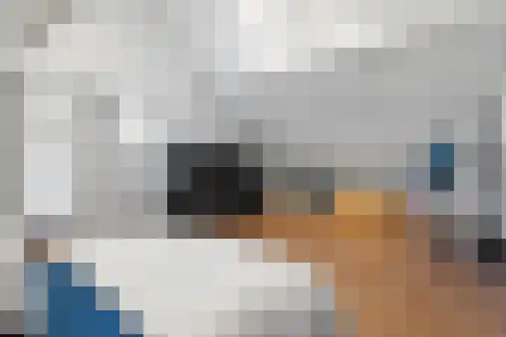 Granaat 9 Eindhoven thumbnail 67