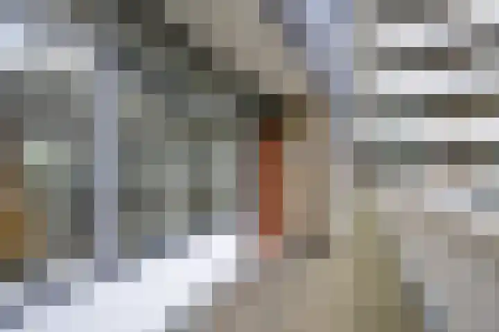 Granaathorst 167 Den Haag thumbnail 12