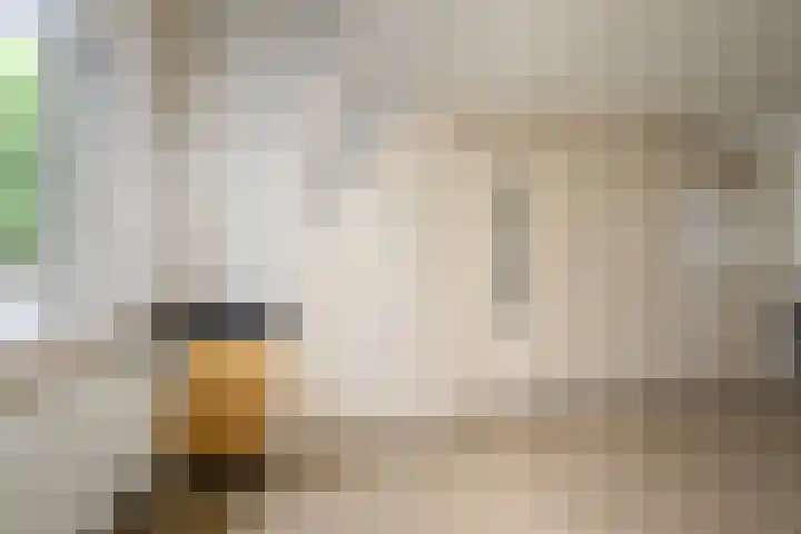 Granaathorst 167 Den Haag thumbnail 13