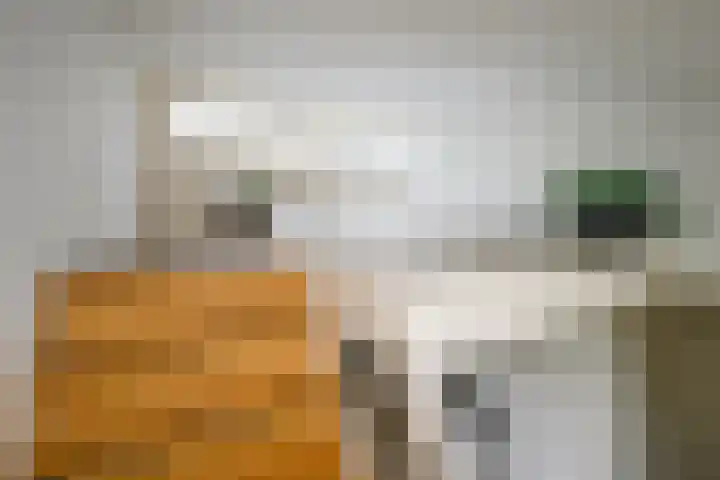Granaathorst 167 Den Haag thumbnail 14