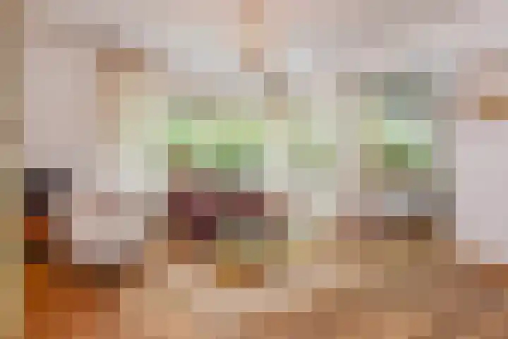 Granaathorst 17 Den Haag thumbnail 13