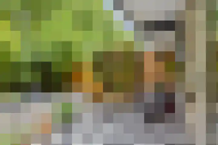Granaathorst 17 Den Haag thumbnail 14