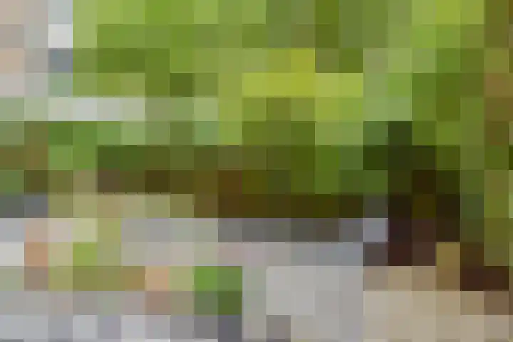 Granaathorst 17 Den Haag thumbnail 15