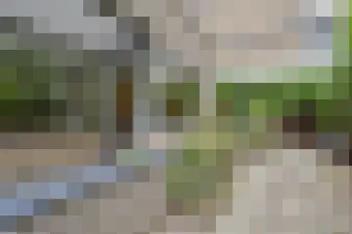 Granaathorst 17 Den Haag thumbnail 16