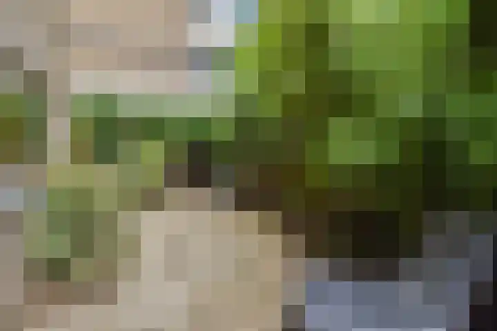 Granaathorst 17 Den Haag thumbnail 17